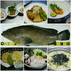 クエ鍋の画像