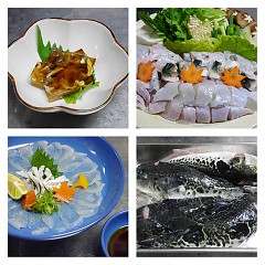 ふぐ料理の画像