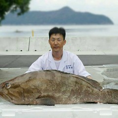 クエ入荷！の画像