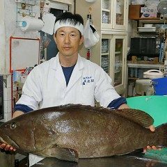 クエ入荷！の画像