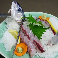 トビウオの画像