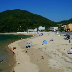 今日の海の画像