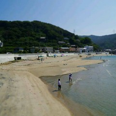 今日の海の画像