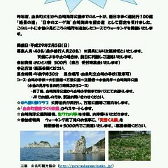 水仙ウォーキングの画像