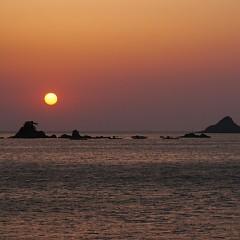 夕陽が綺麗の画像