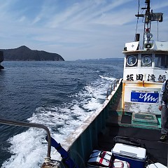 坂田渡船再開の画像