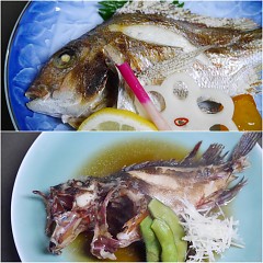 特別コースの画像