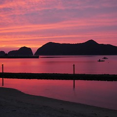 特別コースの画像