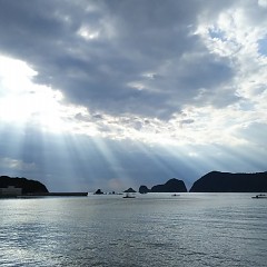 空が綺麗の画像