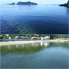 夏本番の画像