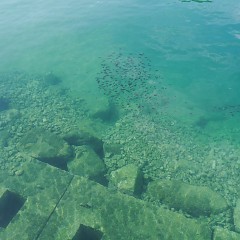 衣奈海岸の画像