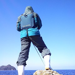 アオリイカの画像