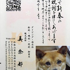 謹賀新年の画像