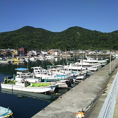 行楽日和の画像
