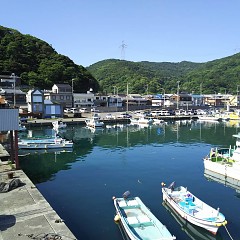 行楽日和の画像