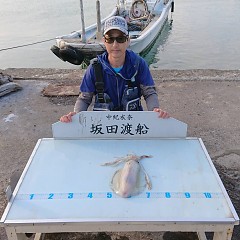 アオリイカの画像