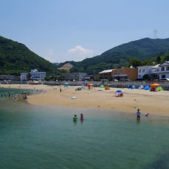 暑中お見舞い申し上げますの画像