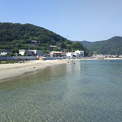 暑中お見舞い申し上げますの画像