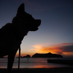 夕焼けの画像