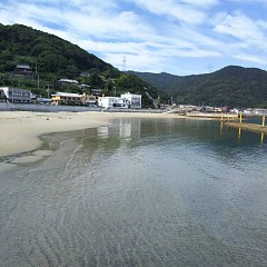 臨海学校の画像