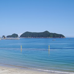 8月の画像