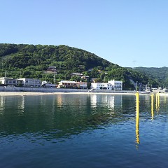 8月の画像