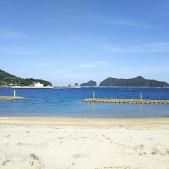 残暑お見舞い申し上げますの画像