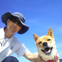 残暑お見舞い申し上げますの画像
