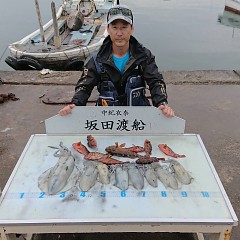 アオリイカ＆ガシラの画像