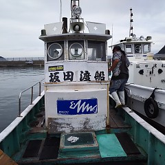 アオリイカ＆ガシラの画像