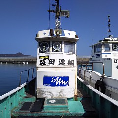 ガシラ釣りの画像