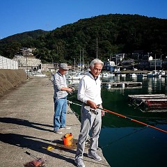 小アジの画像