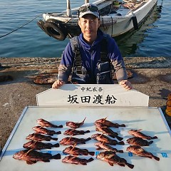 ガシラ釣りの画像