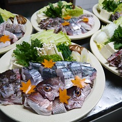 お手軽コース（ライト）の画像