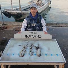 アオリイカの画像
