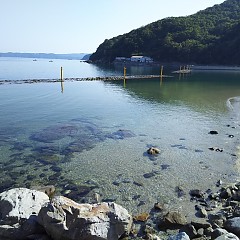 行楽日和の画像