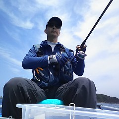 アオリイカの画像