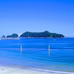 暑中お見舞い申し上げますの画像