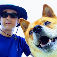 暑中お見舞い申し上げますの画像