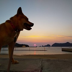 臨海学校の画像