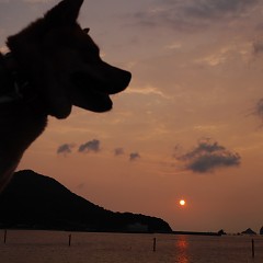 美奈都特別コースの画像
