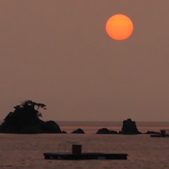 美奈都特別コースの画像