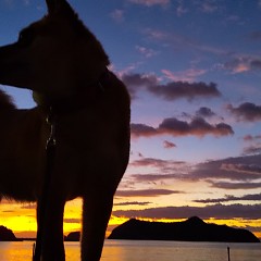 夕焼けの画像