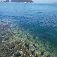 海の様子の画像