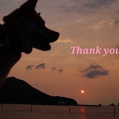 Thank Youの画像