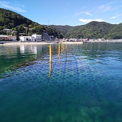 海の様子の画像