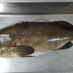 クエ入荷！の画像