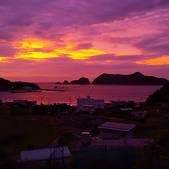 鯛めしの画像