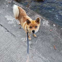 今朝の海の様子の画像
