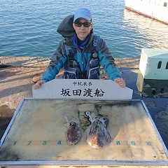 文甲イカの画像